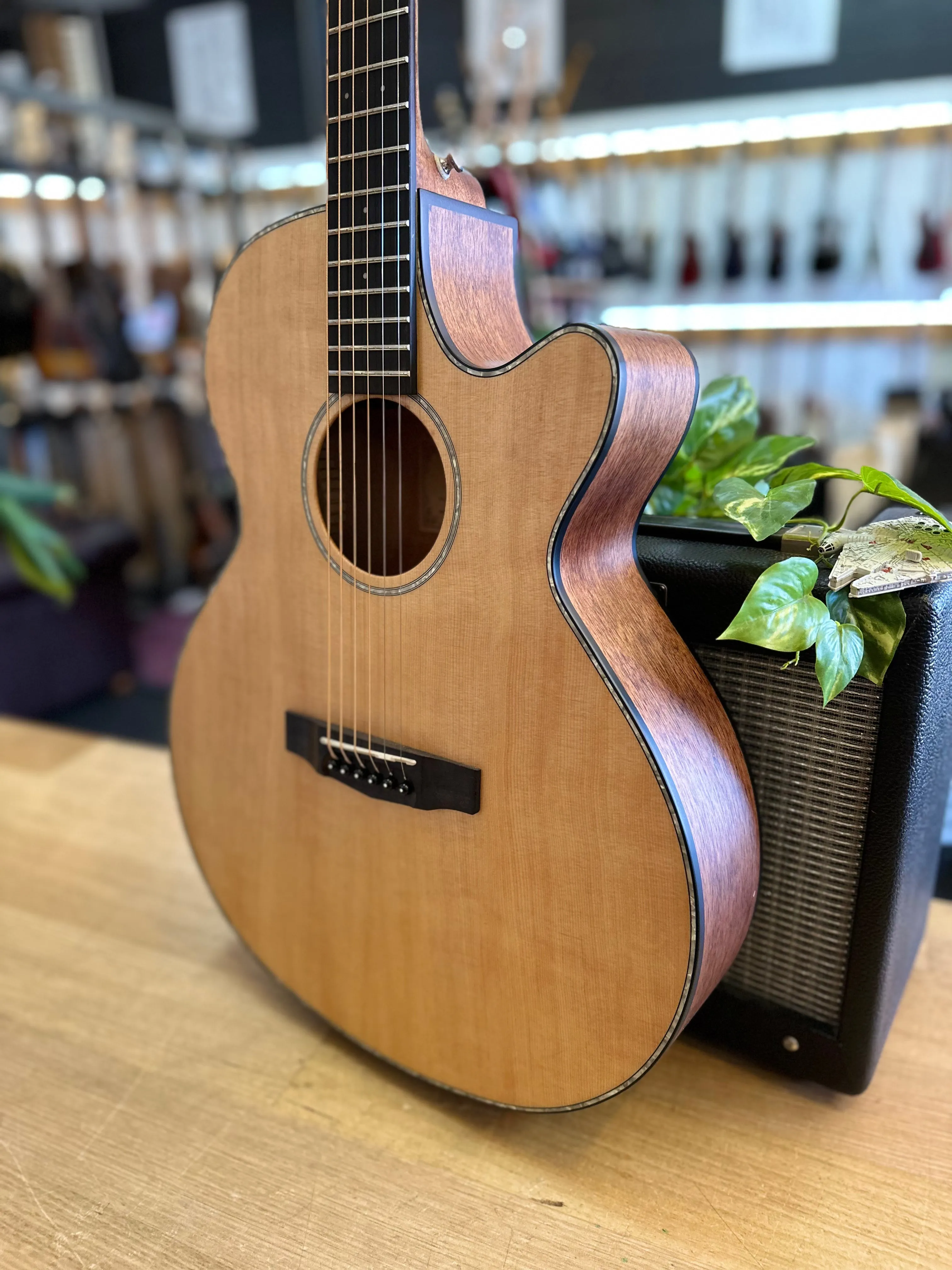 Cort | SFX E | Solid Top | Cutaway | with Pickup