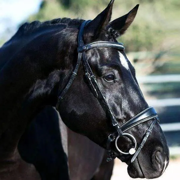 Natalia Snaffle Bridle - Gunmetal Shimmer