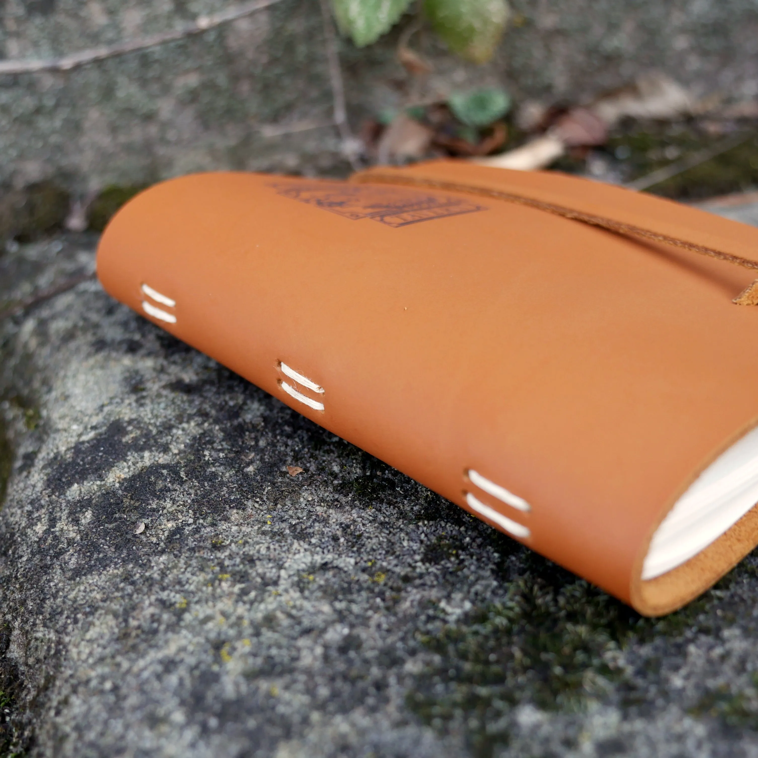 Nutmeg Tavern Journal