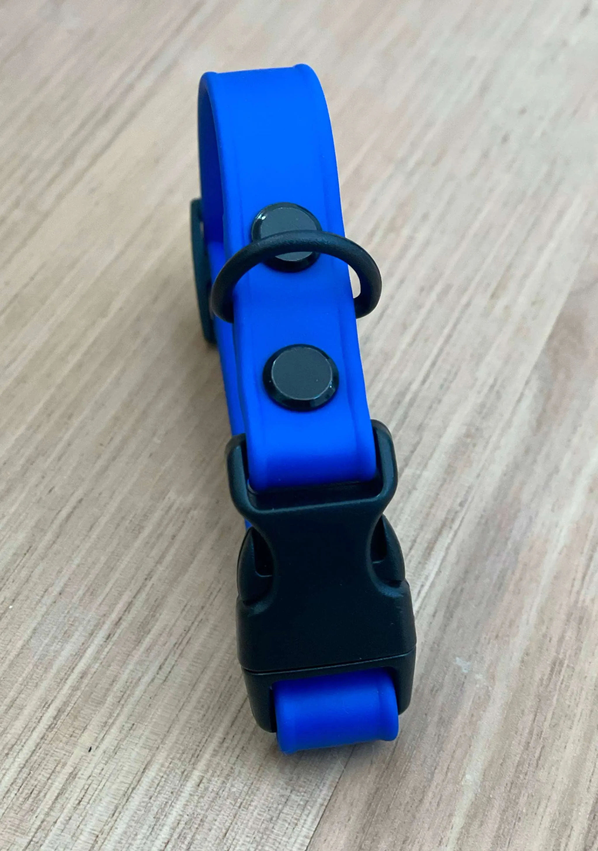 Puppy Collar, Free ID Printing